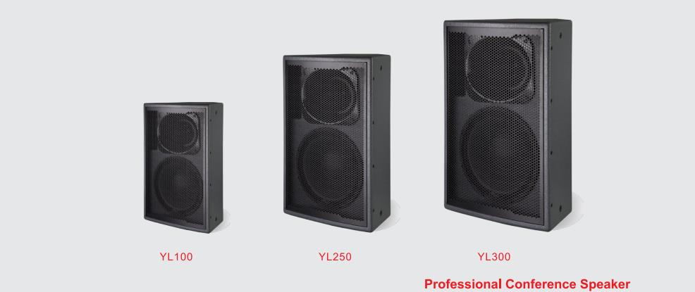 Basic Discussion Conference System YC813