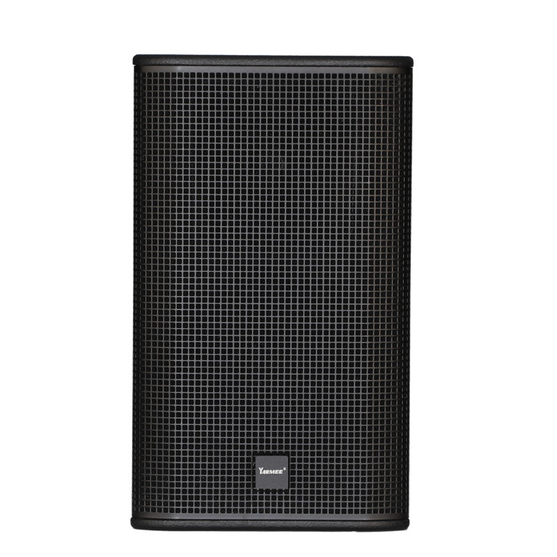 Professional conference speaker YL100